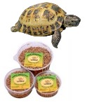 Karmbed - dla żółwi